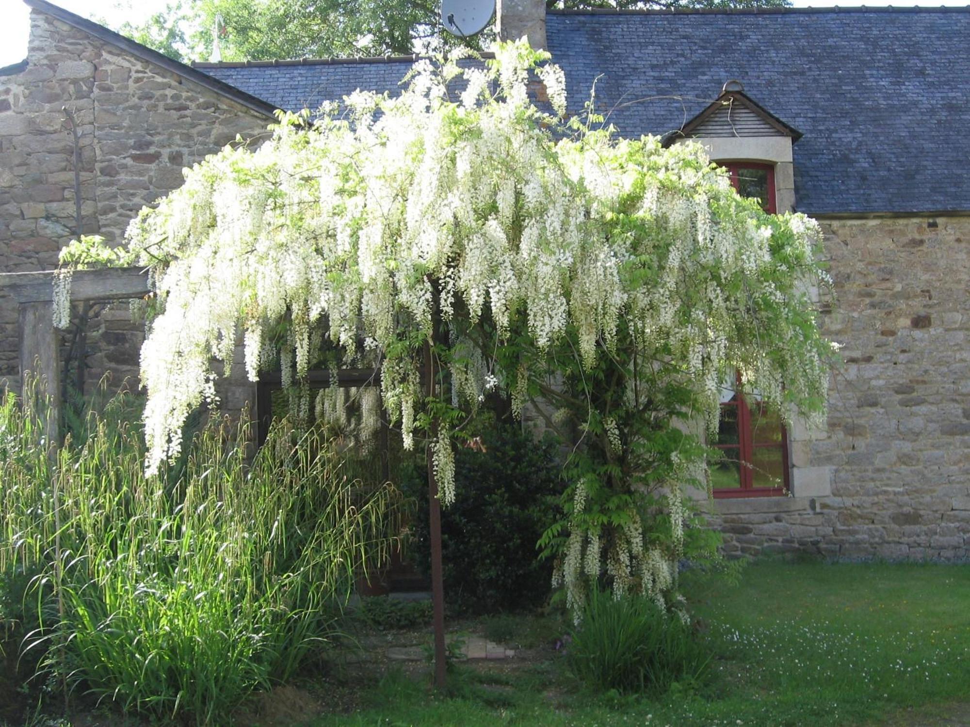 Bed and Breakfast La Guyonnais Quévert Exterior foto